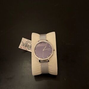 Skagen Silver Mesh Bracelet Watch